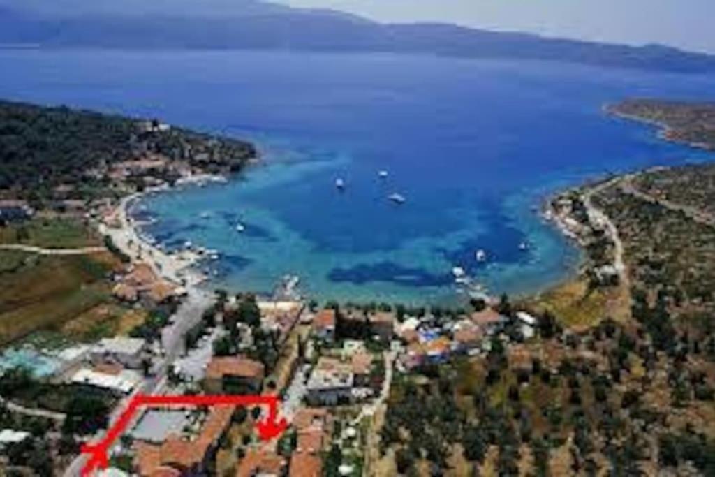 Patra's Kleopatra And Komissa * Poseidonion